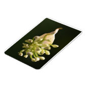 Floral Print Flexible Photo Magnet Magneet (Linkerzijde)
