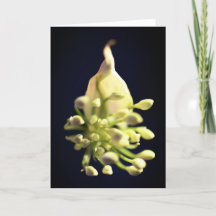 Floral print ingevuld Hartelijk dank