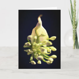 Floral print ingevuld Hartelijk dank Bedankkaart