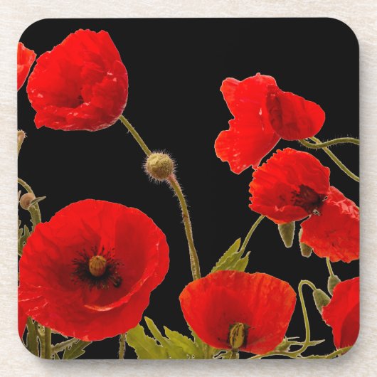 Floral Red Poppy Flowers Black Background Spring Bier Onderzetter (Voorkant)