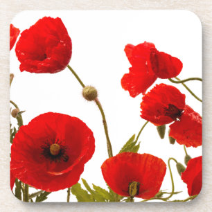 Floral Red Poppy Flowers White Background Spring Bier Onderzetter