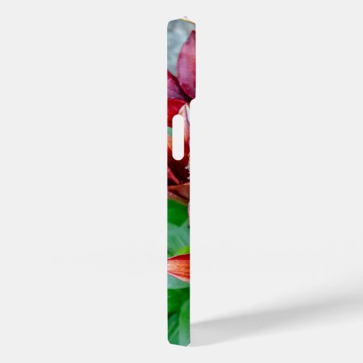 Floral Red Stargazer Lily Case-Mate iPhone Case (Achterkant / Rechts)