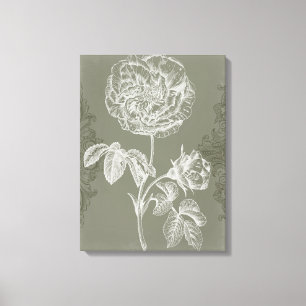 Floral Relief I Canvas Afdruk