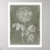 Floral Relief I Poster (Voorkant)