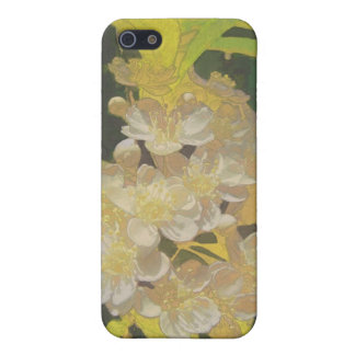 Floral Rhapsody in Gold en White iPhone 5 Hoesje