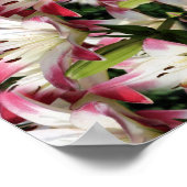 Floral, rood en wit poster (Hoek)