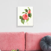 Floral, roze Camellia Flowers door Redoute Canvas Afdruk (Insitu (Woonkamer))