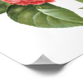  Floral, roze Camellia Flowers door Redoute Poster (Hoek)