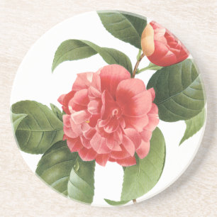 Floral, roze Camellia Flowers door Redoute Zandsteen Onderzetter