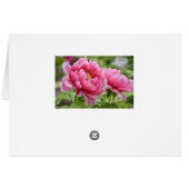 Floral roze pinda's blauw (Achterkant Horizontaal)