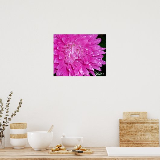 Floral Series: Asteraceae Poster (Keuken)