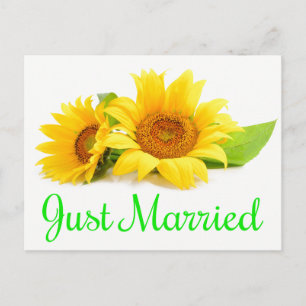 Floral Shabby Chic Pink net getrouwd Roos bruiloft Aankondigingskaart