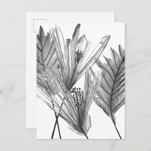 Floral Silhouette - Grijs Briefkaart (Voorkant / Achterkant)