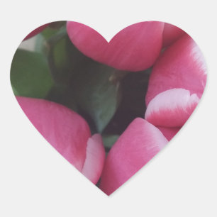 Floral Spring Bouquet of Pink Tulips, Flowers Hart Sticker