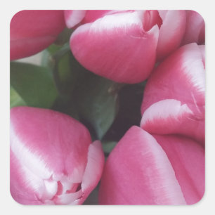 Floral Spring Bouquet of Pink Tulips, Flowers Vierkante Sticker