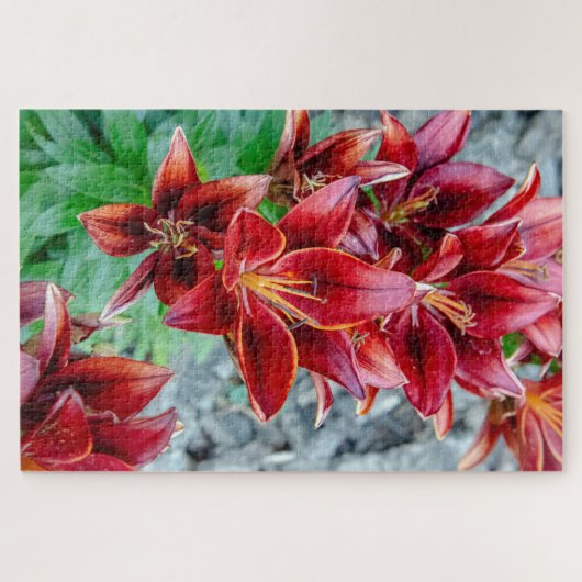 Floral Stargazer Lily, Red Canadian Flower Legpuzzel (Horizontaal)