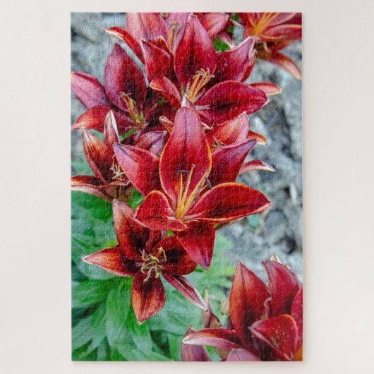 Floral Stargazer Lily, Red Canadian Flower Legpuzzel (Verticaal)