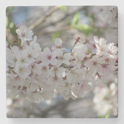 Floral Stenen Onderzetter (Voorkant)