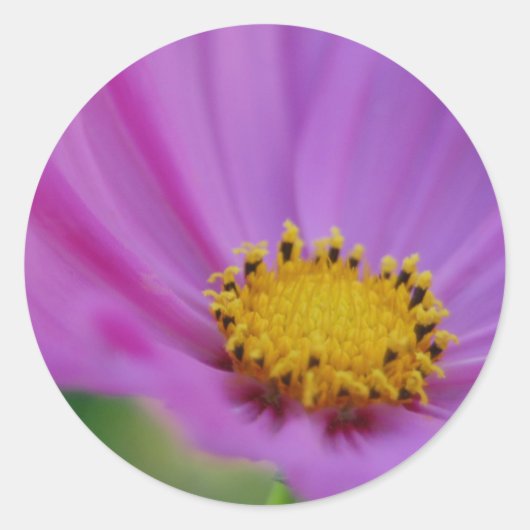 Floral Sticker (Voorkant)