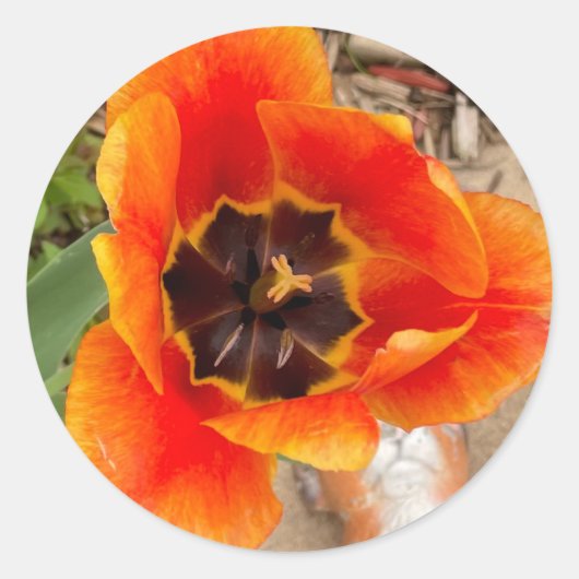 Floral Stickers (Voorkant)