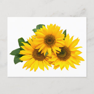 Floral Sunflower Yellow Flowers Hallo Love Bedankt Briefkaart