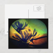 Floral Sunset Uitzicht Briefkaart (Voorkant / Achterkant)