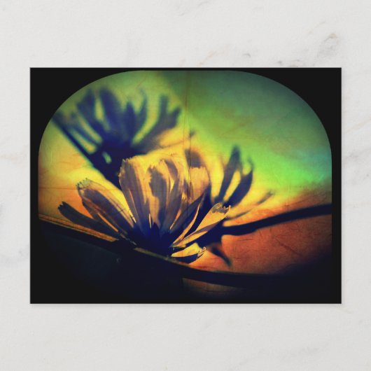Floral Sunset Uitzicht Briefkaart (Voorkant)