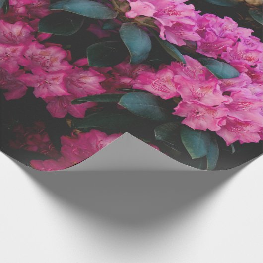 Floral Surface Pattern-Mode Decoratief abstract Cadeaupapier (Hoek)