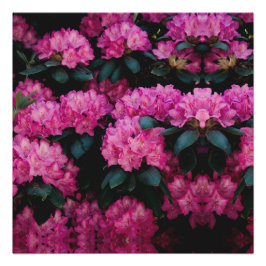 Floral Surface Pattern-Mode Decoratief abstract Perfect Poster