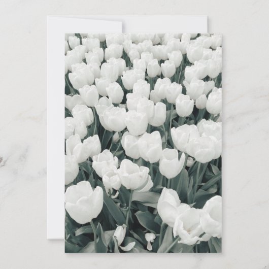 Floral Sweet Sixteen Birthday Party Kaart (Achterkant)