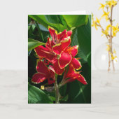 Floral Sympathcard Kaart (Gele Bloem)