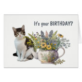 Floral Tea Kettle Cat Meowy Birthday (Voorkant Horizontaal)