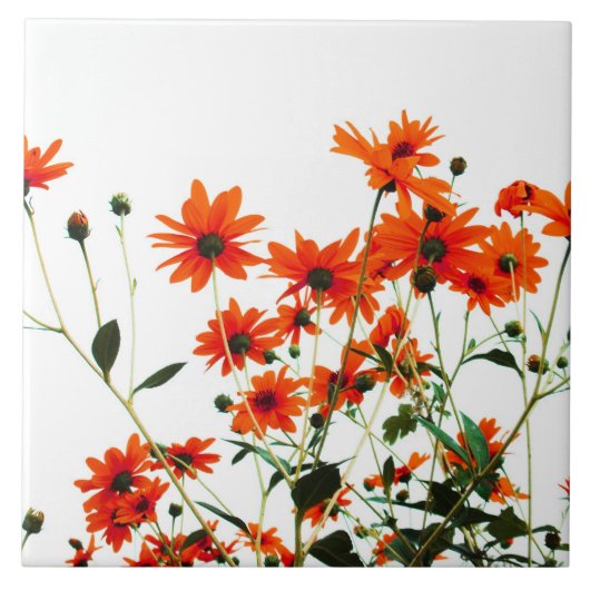 floral tegeltje (Voorkant)