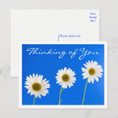 Floral Thinking of You White Daisy Flower - Hallo Briefkaart (Voorkant / Achterkant)