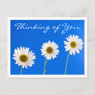 Floral Thinking of You White Daisy Flower - Hallo Briefkaart