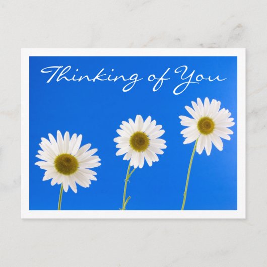 Floral Thinking of You White Daisy Flower - Hallo Briefkaart (Voorkant)