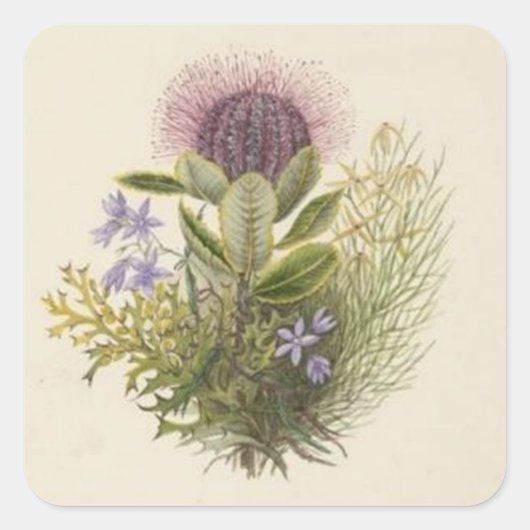 Floral Thistle Sticker (Voorkant)