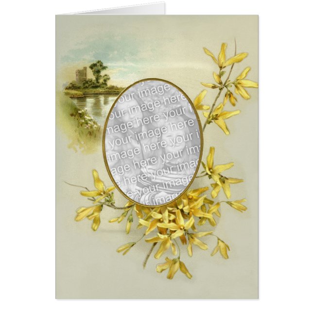 Floral Touch 5 (Voorkant)