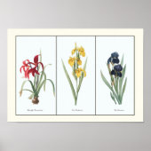 Floral Triptych Botanische Kunstafdrukken Poster (Voorkant)