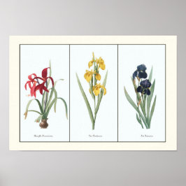 Floral Triptych Botanische Kunstafdrukken Poster
