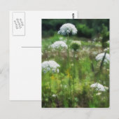 Floral van koningin Anne's Lace 2 Briefkaart (Voorkant / Achterkant)