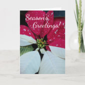 Floral van rode en witte Poinsettia Feestdagen Kaart (Voorkant)