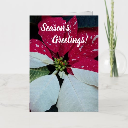 Floral van rode en witte Poinsettia Folie Feestdagenkaart (Voorkant)