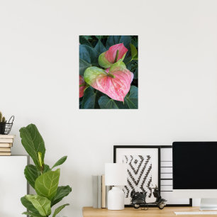 Floral van roze Anthurium Flowers Fotografisch Poster