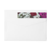 Floral van witte, roze en rode dianthus (Achterkant)