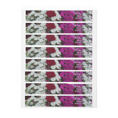 Floral van witte, roze en rode dianthus (Vel)