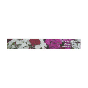 Floral van witte, roze en rode dianthus