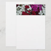 Floral van witte, roze en rode dianthus briefpapier (Voorkant / Achterkant)