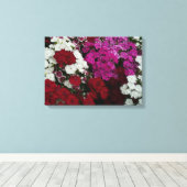 Floral van witte, roze en rode dianthus canvas afdruk (Insitu (Houten vloer))