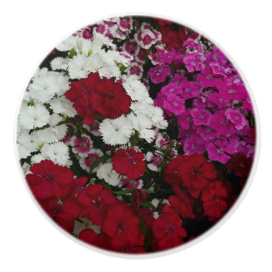 Floral van witte, roze en rode dianthus keramische knop (Voorkant)